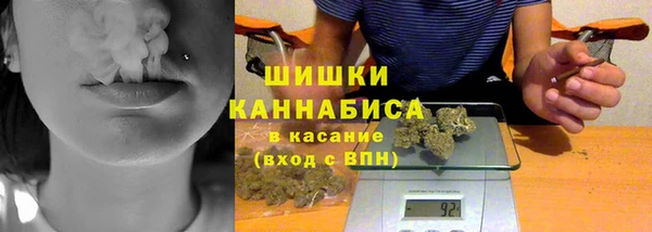 spice Богородск