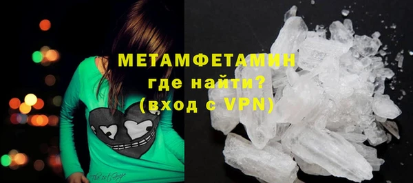 стаф Богданович