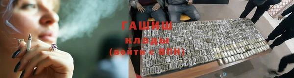spice Богородск