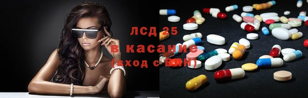 стаф Богданович