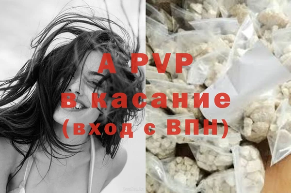 ECSTASY Беломорск