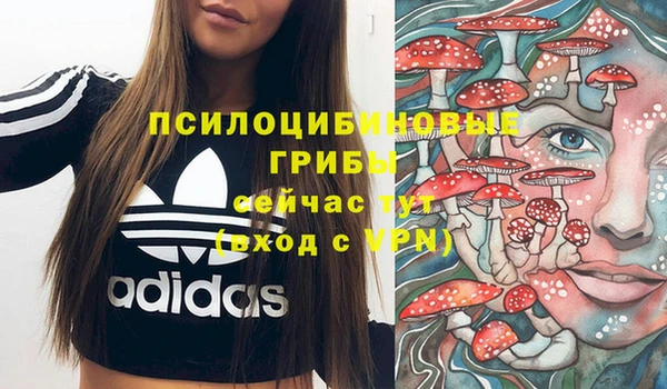 ГАЛЛЮЦИНОГЕННЫЕ ГРИБЫ Богородицк