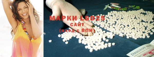 стаф Богданович