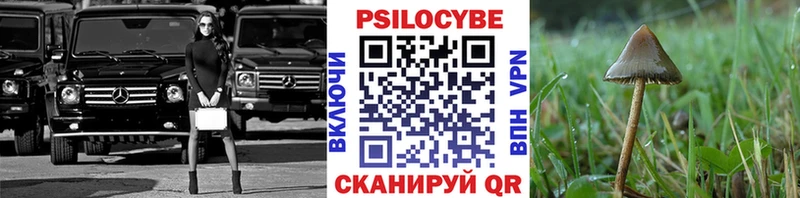 Псилоцибиновые грибы прущие грибы  Ирбит 